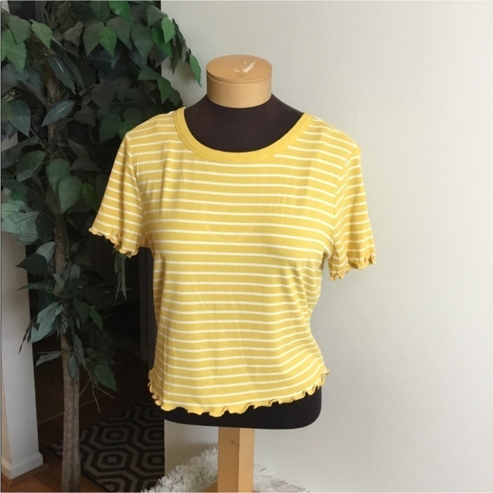 American Rag cropped short sleeve tee Woman’s Juniors size XXL stripes